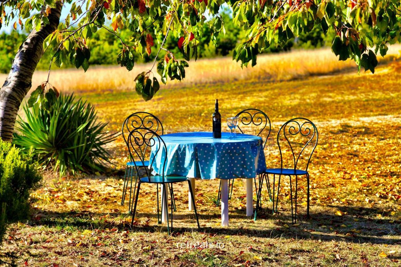 Willa La Colle En Provence Main House Sigonce Zewnętrze zdjęcie